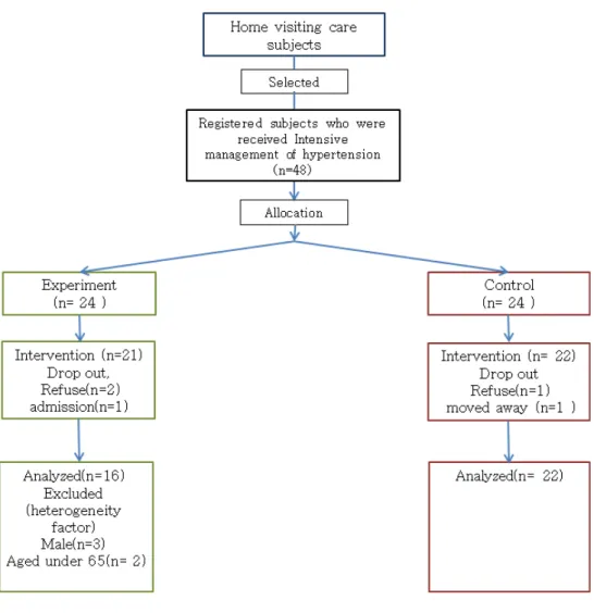 Figure  5.  Participation  flow  chart