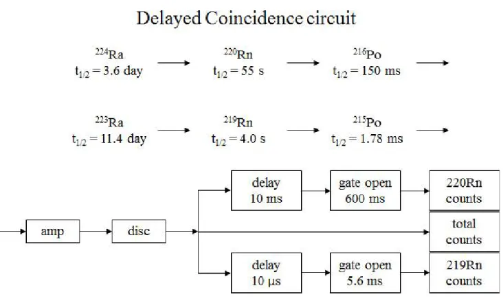 Figure 7. The schematic diagram of measurement principle of RaDeCC (Moore and Arnold, 1996).