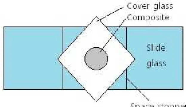 Figure  1.  Experimental  set-up  for  the  measurement  of  polymerization shrinkage using an LVDT prove