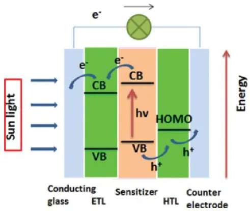 Figure 2.1.7 Schematic of the operating principle of MAPbI 3 PSC.