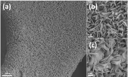 Figure 2. The SEM images of (a,b) Ni-NDC@NF and (c) NiMo/MOF@NF.