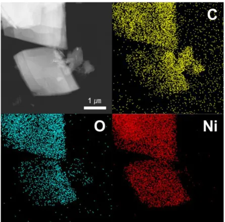 Figure 6. TEM image of Ni-NDC nanosheets and its element mapping for the selected area