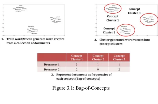 Figure 3.1: Bag-of-Concepts 