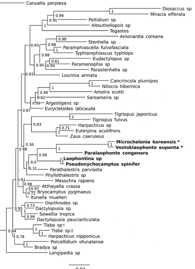 Figure 8 Phylogenetic tree of harpacticoids based on nuclear 18S ribosomal DNA data. A 25% majority consensus of 1,500 trees generated using MBayes 3.2.6 (Ronquist et al., 2012) under the GTR+G+I model
