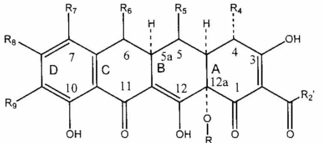 그림 2-2 항생효과를 위한 tetracycline의 치환 및 구조화학적 요건 (Chopra and Roberts, 2001)