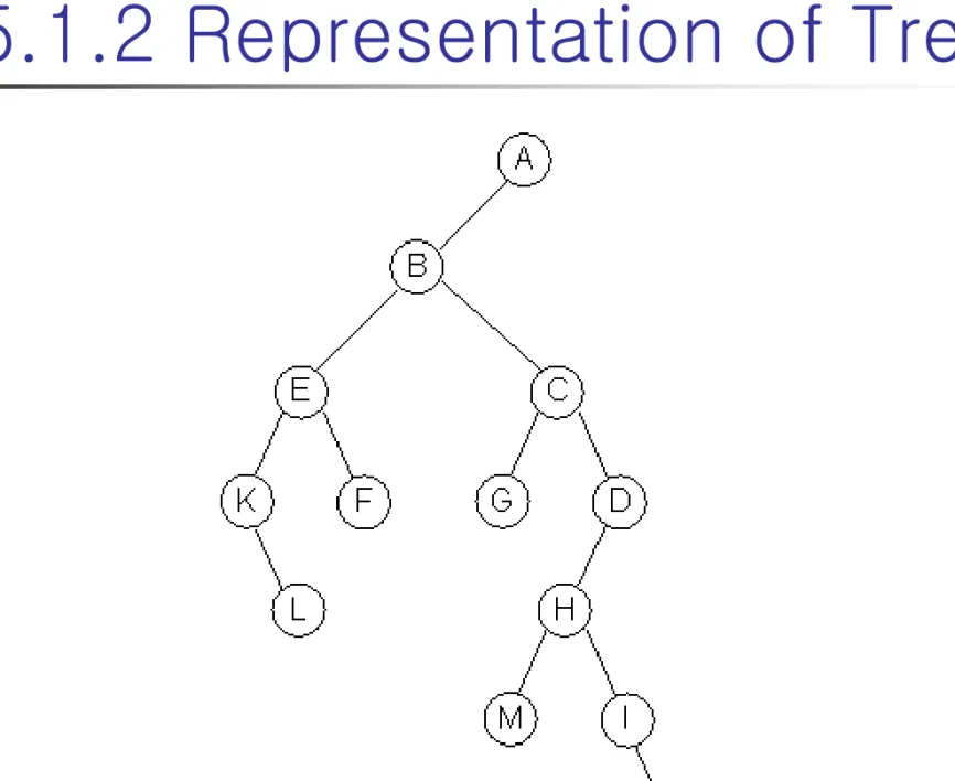 Figure 5.7 : Left child-right child tree representation 
