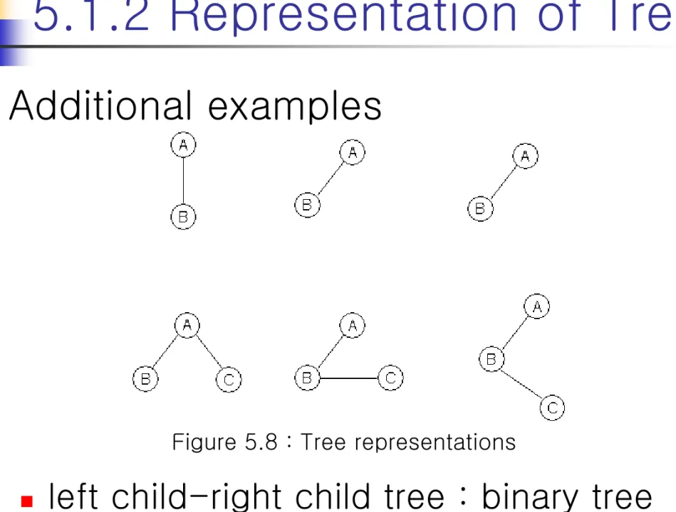 Figure 5.8 : Tree representations 
