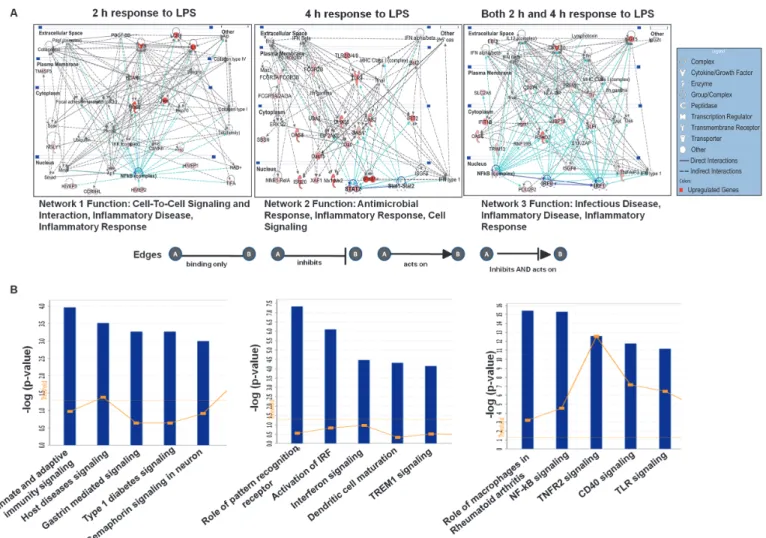 Fig 5. Top network and canonical pathway analyses at each time point (2 h and 4 h) in LPS-stimulated BV-2 microglial cells