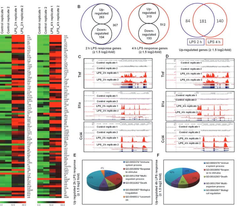 Fig 2. RNA-Seq analysis reveals that LPS-stimulated pro-inflammatory gene expression in BV-2 microglial cells