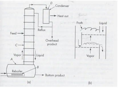 Fig. rectification column 
