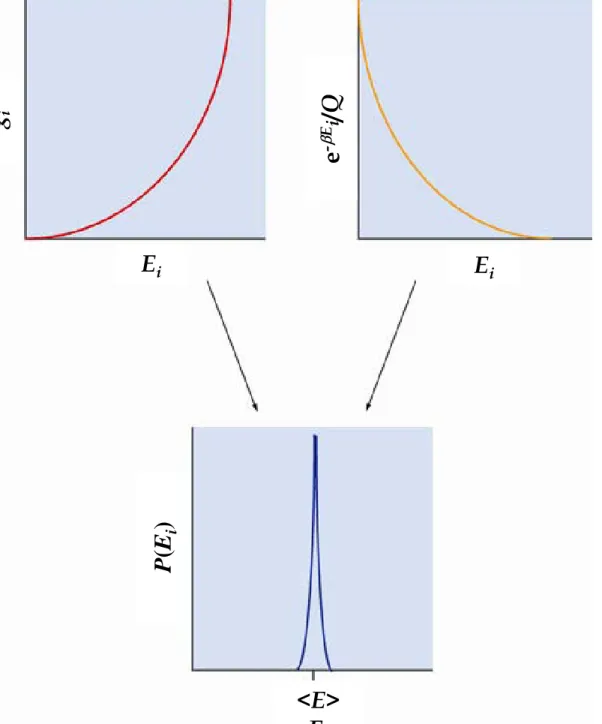 Figure 2. For the canonical  ensemble, the probability of  a member of the ensemble  having a given energy is  dependent on the product of  g i , the number of states 