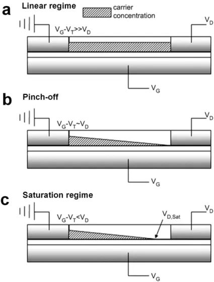 Figure 1-9. Schematic carrier concentration diagram of (a) linear, (b) pinch-off, and (c)  saturation regime during field-effect transistor operations
