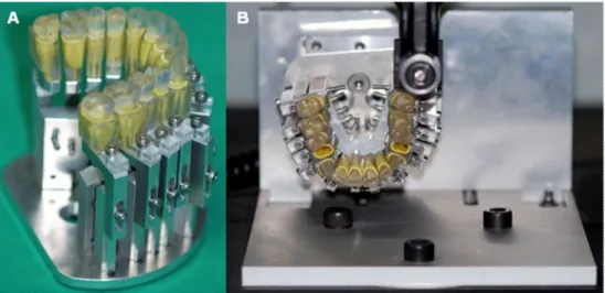 Figure 1. A. The stereolithographically-made typodont system. The maxillary teeth 