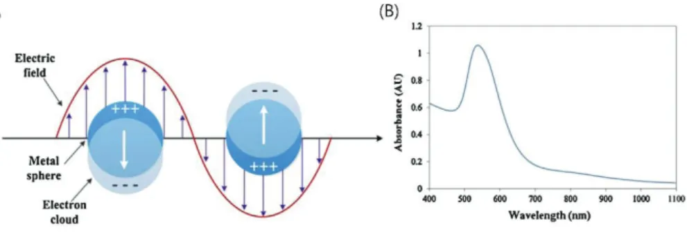Figure 1 (A) Schematic diagram illustrating of LSPR for Au NPs.(From Ref. 
