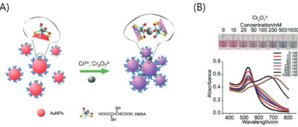 Figure 3 (A) Chromium ions induced colorimetric response of DMSA-Au NPs. (B)  Photographs of and UV-Vis spectra of various concentrations of Cr 2 O 7 2-   From 0  nM to 1000 nM in DMSA-Au NPs and the UV-Vis spectra of various  concentrations of Cr 2 O 7 2-