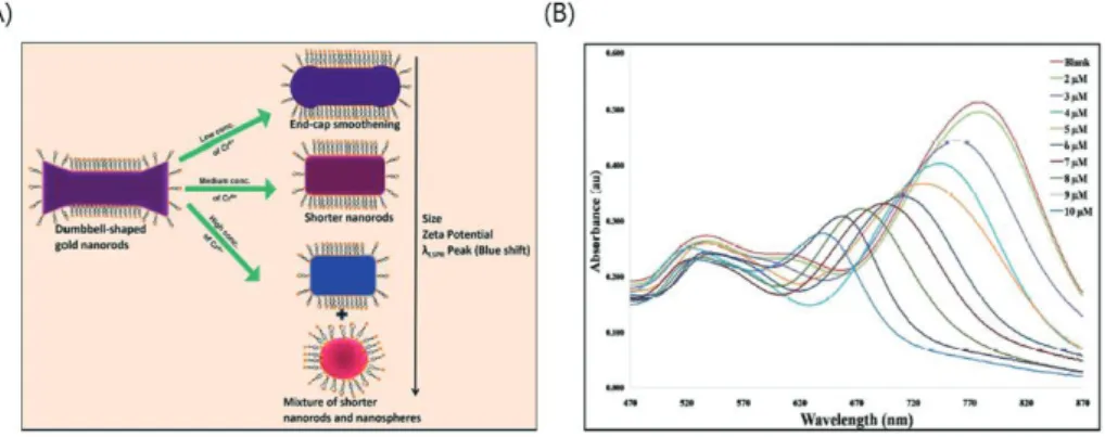Figure 4 (A) Schmatic representation Cr(VI) concentration-dependent preferential  etching