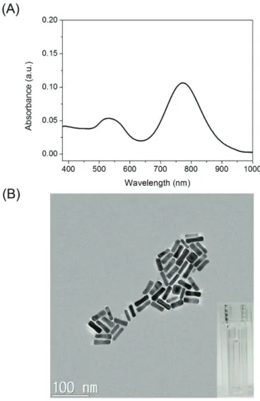 Figure 5 (A) UV-vis absorption spectrum of Au NRs. (B) TEM image of the Au  NRs. (Inset: photograph of the Au NRs colloid solutions) 