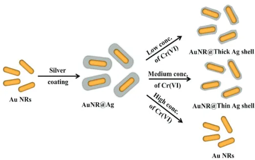 Figure 8 Schematic mechanism of sensing Cr(VI) based on etching of the  AuNR@Ag nanostructures