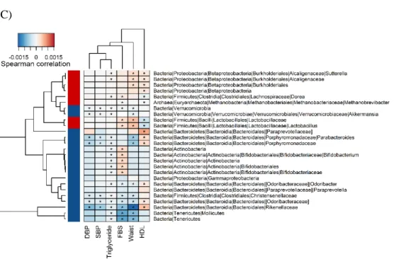 Figure 3.2 Significant differences in the composition of the gut microbiota between the  healthy and MetS groups