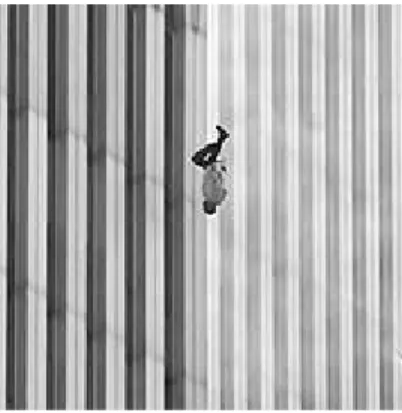 Figure 1. Richard Drew, “The Falling Man.” 4)
