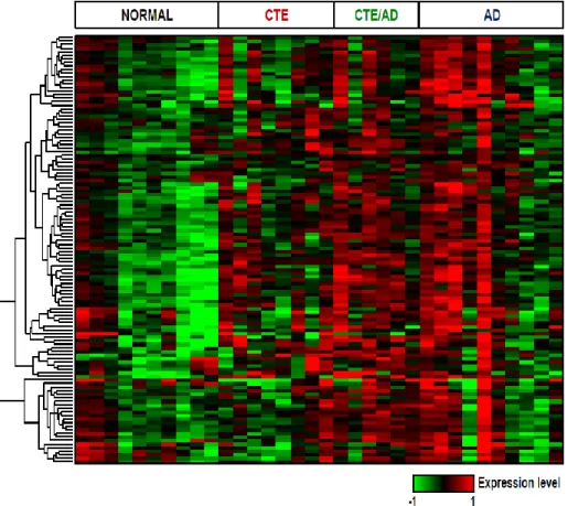 Figure 1-5. The expression patterns of astrocytes-specific genes  120 astrocyte-specific genes were up-regulated in CTE, CTE/AD and AD