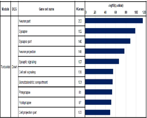 Figure 1-13. The result of top 10 gene set enrichment analysis of turquoise  module 