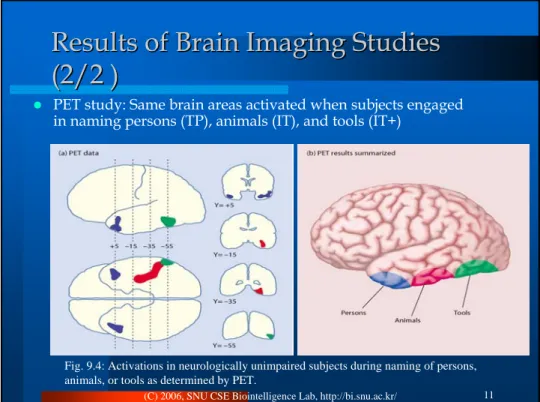 Fig. 9.5: Three levels of representation that are needed in speech production: semantic  features, lexical nodes, and phonological segments.