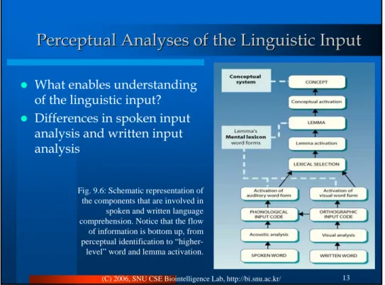 Fig. 9.6: Schematic representation of  the components that are involved in  spoken and written language  comprehension