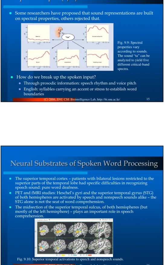 Fig. 9.10: Superior temporal activations to speech and nonspeech sounds.