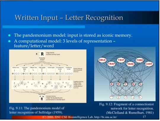Fig. 9.12: Fragment of a connectionist  network for letter recognition. 
