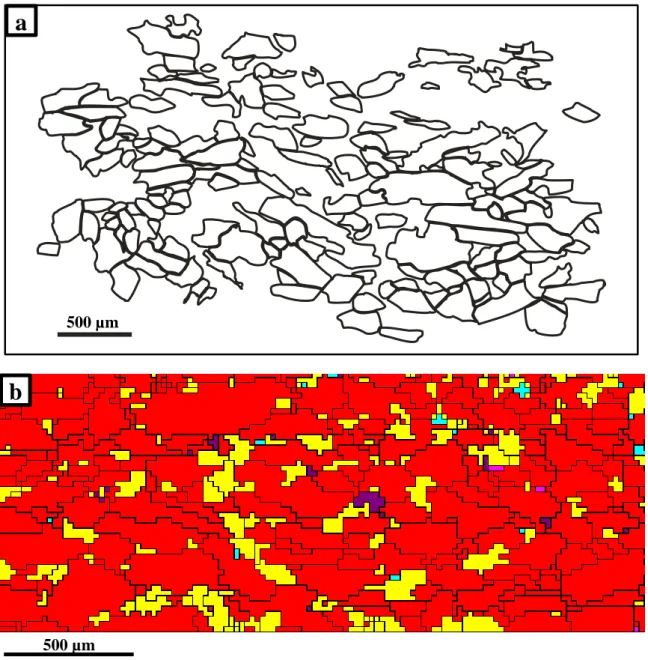 Figure 2. (a) Example of grain boundaries of amphibole (sample 2474) which were  manually  drawn  using  optical  photomicrographs  of  thin  section  in  X-Z  plane