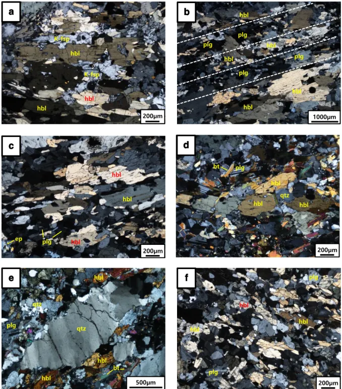 Figure  3.  Optical  photomicrographs  of  studied  samples  (a-f).  (a)  Sample  2472