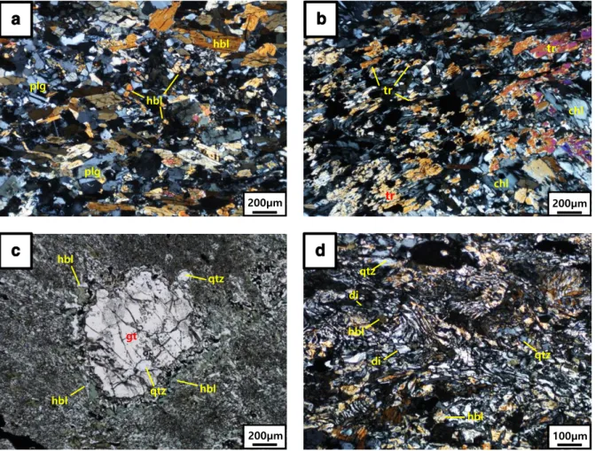 Figure  4.  Optical  photomicrographs  of  studied  samples  (a-d).  (a)  Sample  2474