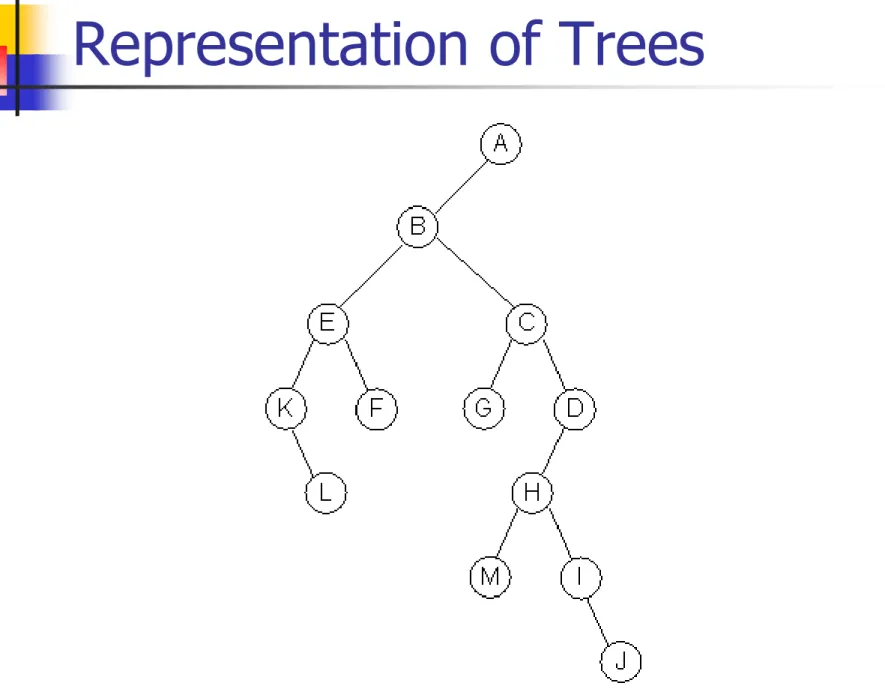 Figure 5.7 : Left child-right child tree representation  10