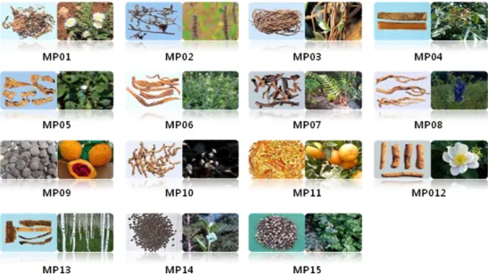 Figure 7. Pictures of the raw materials of candidates 