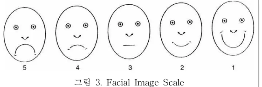그림 3. Facial Image Scale