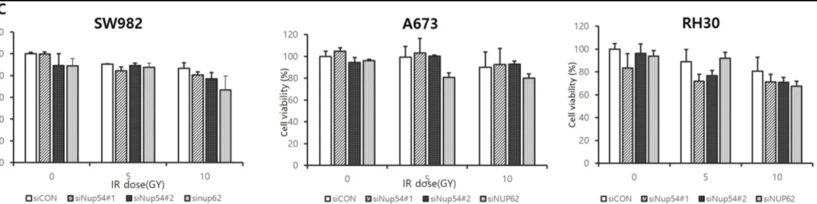 Figure 4C. 3개의 세포주에서 siNUP62, siNUP54로 발현 억제 후에 방사선 조사하고 CCK-8 assay결과. 전체적으로 NUP62  발현 억제의 경우가 세포 사멸이 더 많이 일어나는 경향