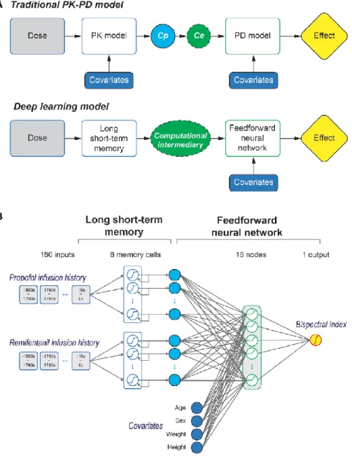 Fig. 1. Schematic representation of the deep learning model. (A) The  traditional PK (pharmacokinetic)–pharmacodynamic (PD) model requires a  PK–PD intermediary like plasma concentration (Cp) or effect-site 