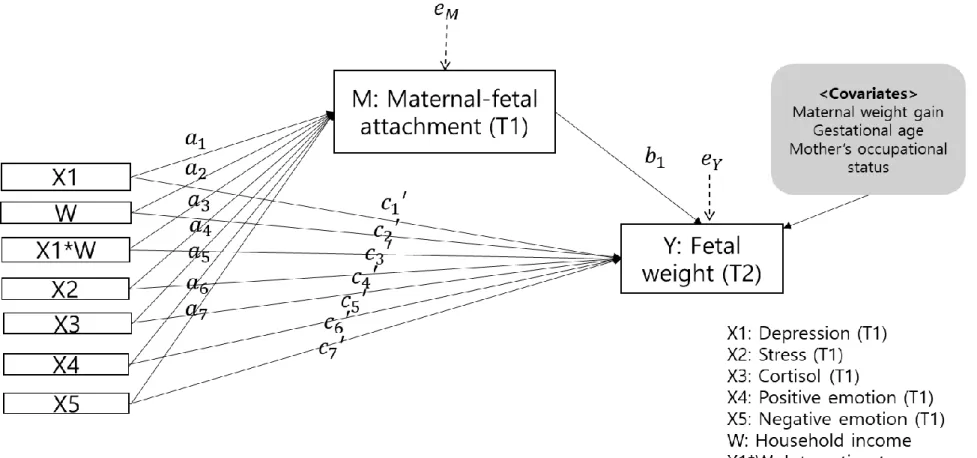 Figure 2. Statistical model of moderated mediation effect on fetal weight 