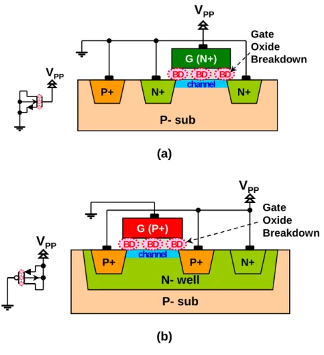 Fig. 1. CMOS antifuse structures during the programming mode ; (a)  circuit schematic and cross sectional view of nMOS antifuse showing the  ruptured regions (shown as dotted circles) for channel breakdown (V PP >0), and  (b) those of nMOS antifuse