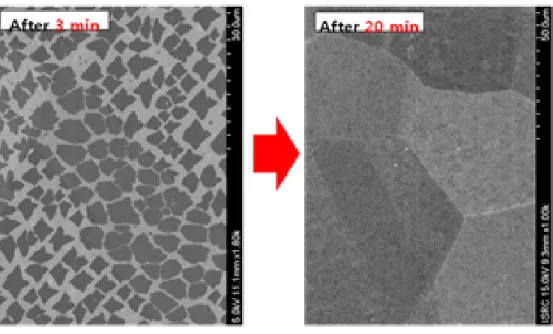 그림 3.1 SEM image of N-doped Graphene growth after 3 min &amp; 20 min