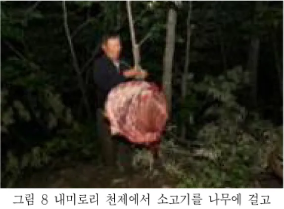 그림 8 내미로리 천제에서 소고기를 나무에 걸고 있음