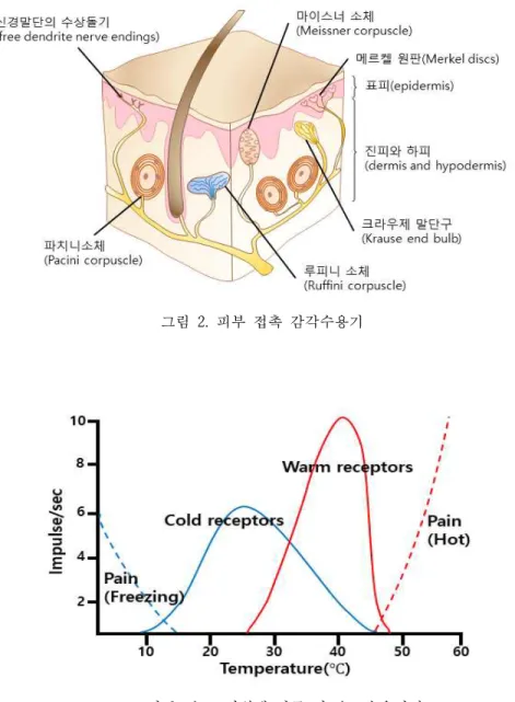 그림 2. 피부 접촉 감각수용기