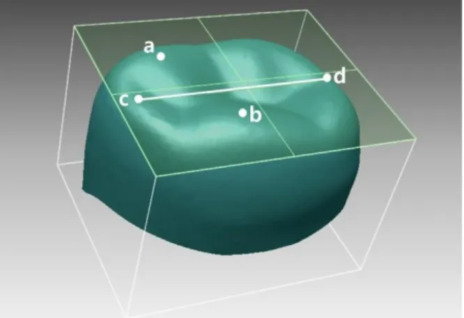 Fig. 2. Setting the reference plane. 