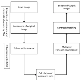 Fig. 2.  Flowchart of  enhancement  algorithm.