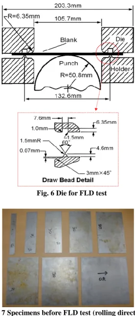 Fig. 3 Circle grid before and after strain 