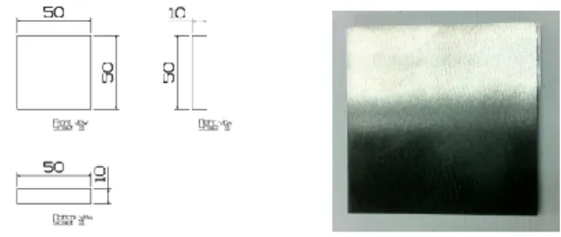 Fig. 3 Shape of the wear test with linear scratch type 