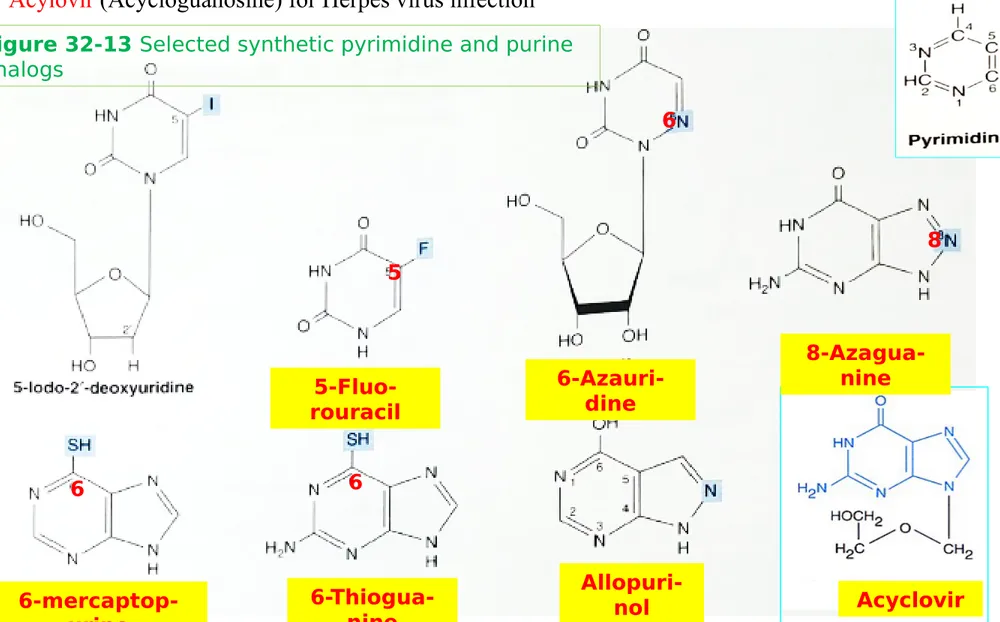 Figure 32-13 Selected synthetic pyrimidine and purine 