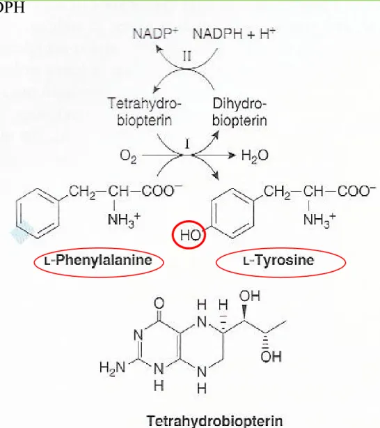 Figure 27-10 The phenylalanine hydroxylase re- re-action