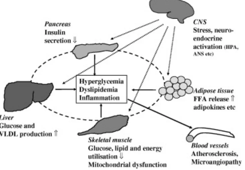 Fig.  Interplay between CNS and other tissues in the 